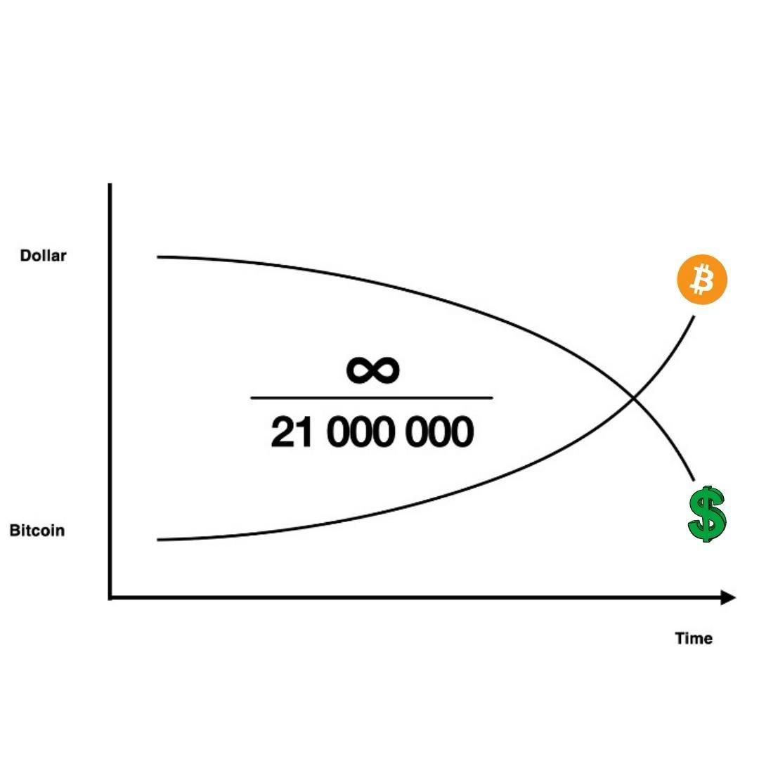 Bitcoin | Cryptocurrency - Bitcoin vs Fiat cryptocurrency #bitcoin #crypto #blockchain #btc #ethereu