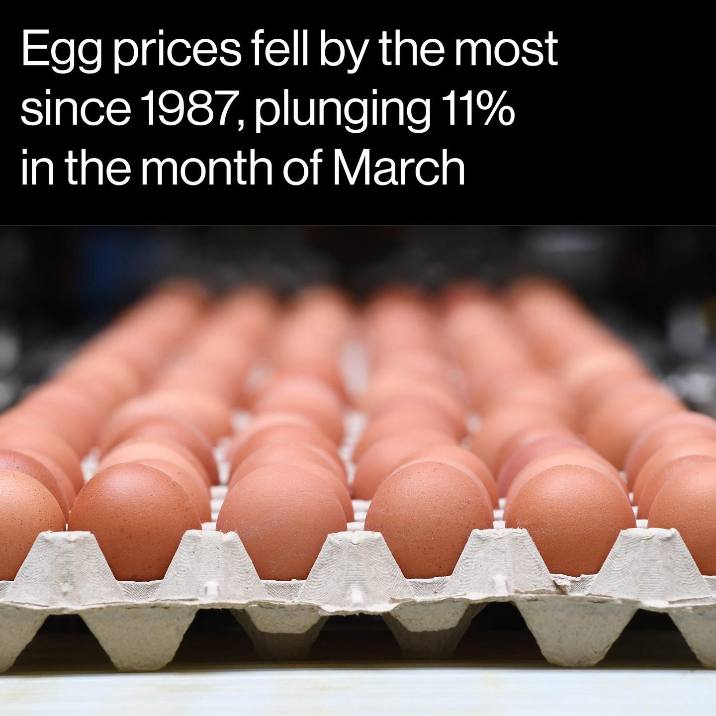 ● Prices for eggs fell 11% for the month, according to Labor Department data released Wednesday
