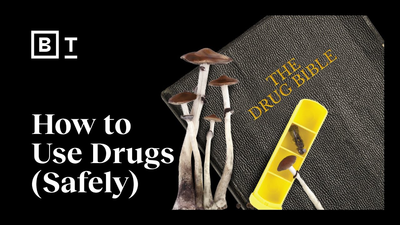 The Drug Bible: 10 Commandments For Safe Drug Use : Dominic Milton Trott : Big Think